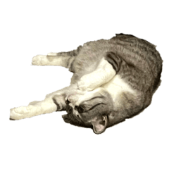 Jacky_20210518010638