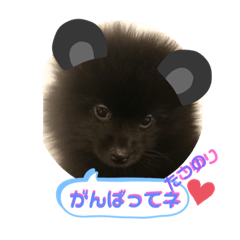 テンシンたつのり④