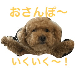 トコトコにこさん②