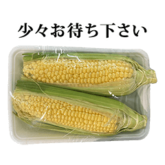とうもろこし2本　と　敬語