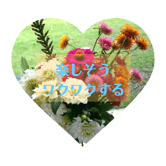 こころに聞く効く