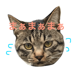 うちのサブロー