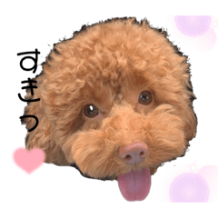 エアちゃんスタンプ①