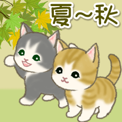 夏～秋　もこもこ猫ちゃんズ