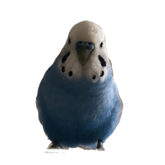 大川ピースケくん