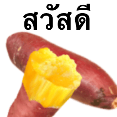 やきいも です　出来立て　タイ語