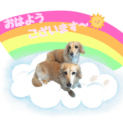 ダックスフンド犬の使える挨拶シリーズ