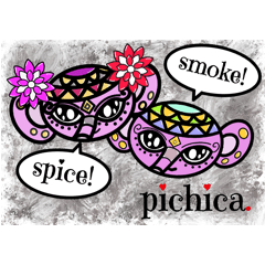 大阪梅田スパイカレー・燻製バルpichica.