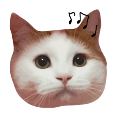 猫のはにおのスタンプ