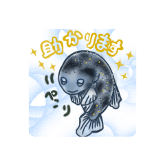 めだか　ちゃん