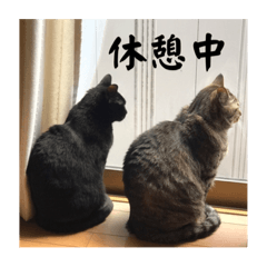 うめごまのほのぼのスタンプ