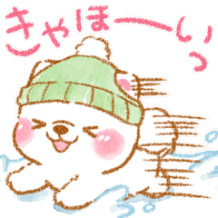 白柴❤️冬の思いやり❤️いやしばいぬ