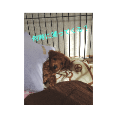 こころ、キュンキュンスタンプ