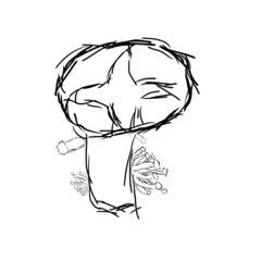 実用的なしいたけ