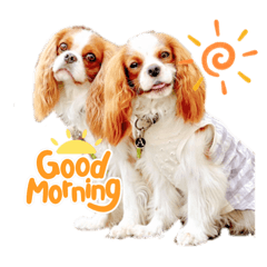 愉快な広島キャバリア会メンバーズパート2