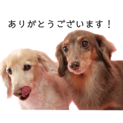 チョコとリクのスタンプ