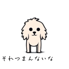 目が死んでるワンコ「犬」