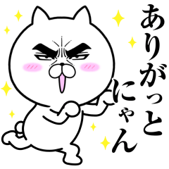 目ヂカラ☆にゃんこ23【猫が好き】