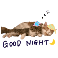 じんのいスタンプ