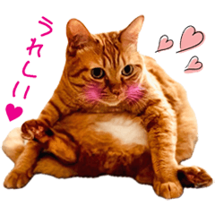 猫のしずくスタンプ。②