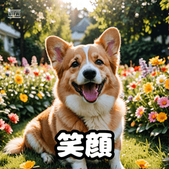 コーギーの気持ちスタンプ