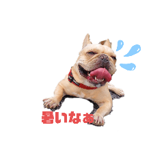 フレブルのプンバくんスタンプ