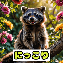 ゆるっとあらいぐま