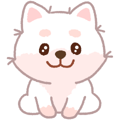 ホワイト柴犬「マランちゃん」は毎日楽しい