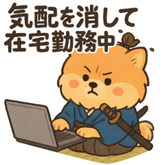 侍ポメラニアン