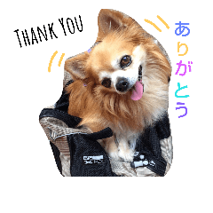 レンくんこんにちは！