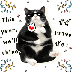 Everyday Cat #2: English-Thai Greetings