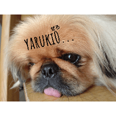 にこうースタンプ！