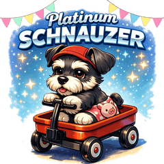 がんばるシニアシュナの毎日