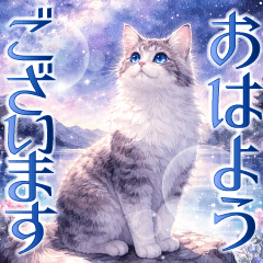 とびだす！銀河猫⭐︎ずっと使える大人敬語