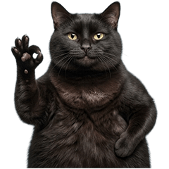 BIG! ムチムチ黒猫　実写