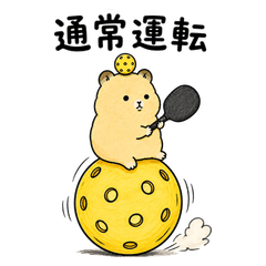ピックルボールするキンクマの日常2