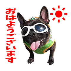 こてっちゃん★