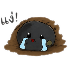The cute rock
