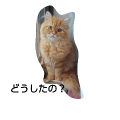 まさむねが一番！