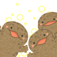 ゆるかわオオサンショウウオさん