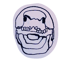 ダンゴムシ先輩