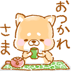 動く❤️いやしばいぬ❤️いち