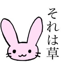 真顔うさぎちゃんです