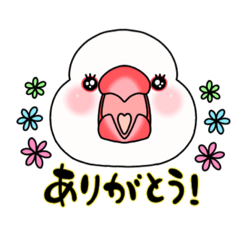 にぎやか文鳥ちゃん