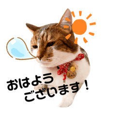 ぽてぽて とっくん(敬語編)