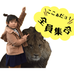 ここあんどゆあか