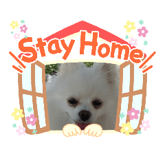 チョコミント&くぅちゃん♡