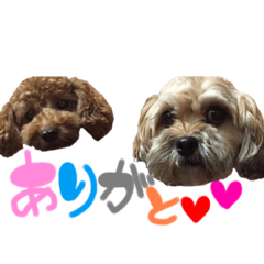 ぴぴちゃんすたんぷwithもんちゃん