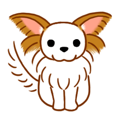 チワワのぷーさん