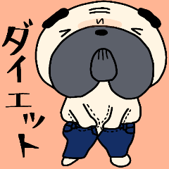 ダイエット中のパグぅ